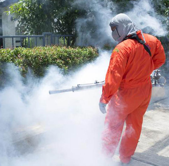 Dedetização Ecológica