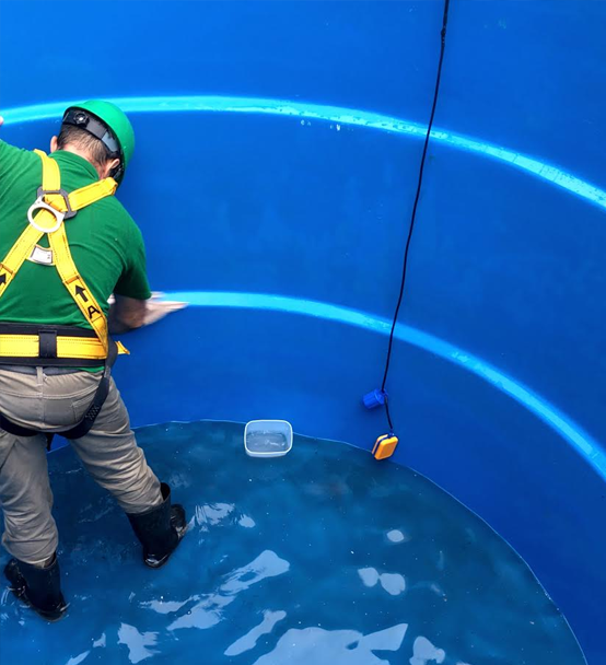 Limpeza de CAixa dá agua